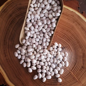 Erzurum Kadın Kooperatifi İspir Fasulyesi 1 kg