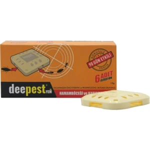 Hamam Böceği ve Karınca Istasyonu 6'lı