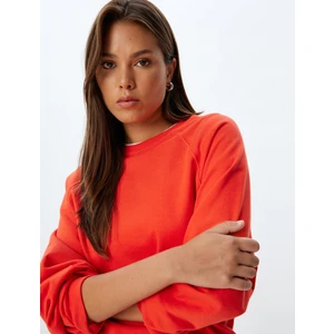 Basic Sweatshirt Bisiklet Yaka Uzun Kollu