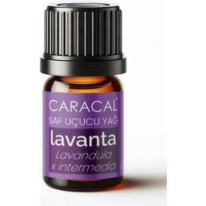 %100 Saf Lavanta Uçucu Yağı Doğal Lavanta Yağı 5ml
