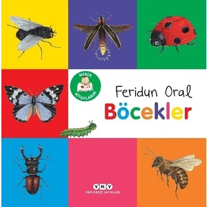 Minik Kitaplarım - Böcekler - Feridun Oral