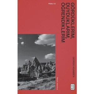 Gördüklerim, Duyduklarım, Öğrendiklerim - Giorgio Agamben