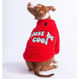 PawStar Kırmızı Just Be Cool Büyük Irk Sweat