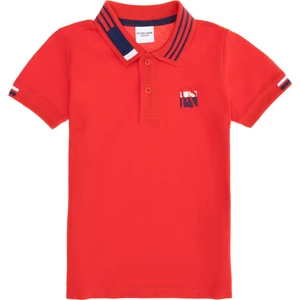 U.S. Polo Assn. Erkek Çocuk Kırmızı Tişört 50263388-VR030