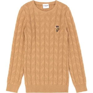 U.S. Polo Assn. Erkek Çocuk Kum Kazak /Triko 50269032-VR085