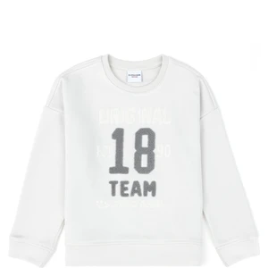 U.S. Polo Assn. Kız Çocuk Taş Sweatshirt 50272436-VR049
