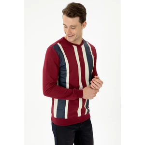 U.S. Polo Assn. Erkek Bordo Sweatshirt 50276409-VR014