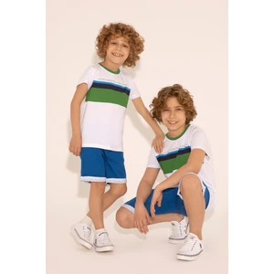 U.S. Polo Assn. Erkek Çocuk Saks Şort / Bermuda 50282972-VR045