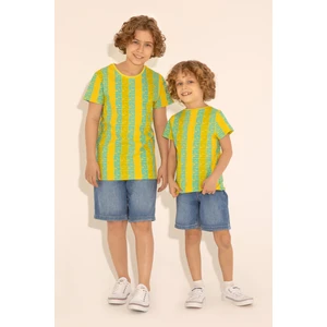 U.S. Polo Assn. Erkek Çocuk Fıstık Tişört 50288049-VR087