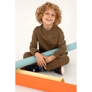 U.S. Polo Assn. Erkek Çocuk Haki Sweatshirt 50295151-VR027