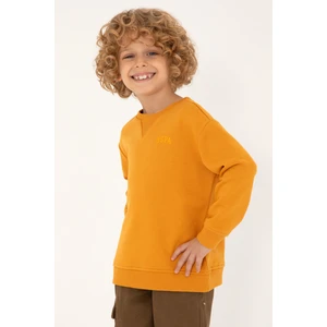 U.S. Polo Assn. Erkek Çocuk Hardal Sweatshirt 50295151-VR072
