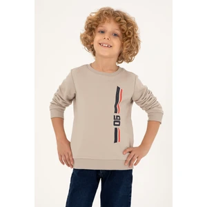U.S. Polo Assn. Erkek Çocuk Taş Sweatshirt 50293546-VR049