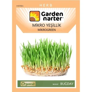 Garden Narter Mikro Yeşillikler İçin Microgreen Organik Buğday Tohumu Mikro Filiz Tohumu 50 gr 1250 Tohum
