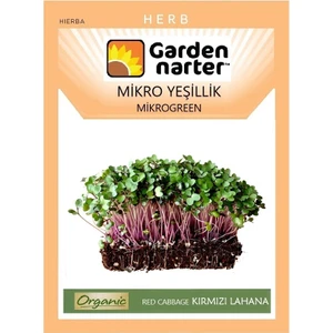 Garden Narter Mikro Yeşillik İçin Microgreen Organik Kırmızı Lahana Tohumu Mikro Filiz Tohumu 7 gr 1750 Tohum