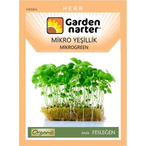 Garden Narter Mikro Yeşillik Için Microgreen Organik Yeşil Fesleğen Tohumu Mikro Filiz Tohumu 3,2 gr 1200 Tohum