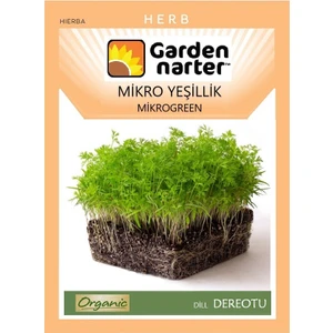 Garden Narter Mikro Yeşillik Için Microgreen Organik Dereotu Tohumu Mikro Filiz Tohumu 10 gr 7000 Tohum