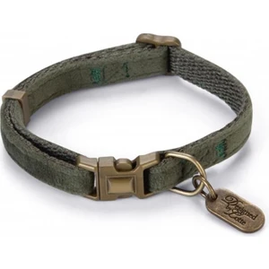 Lotte Kedi Tasması 30cm x 10mm Yeşil