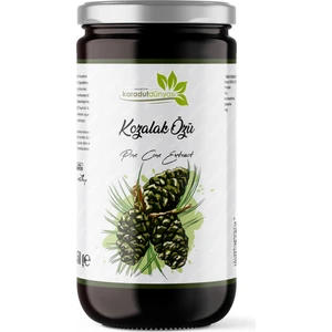 Karadut Dünyası Kozalak Özü 650 gr