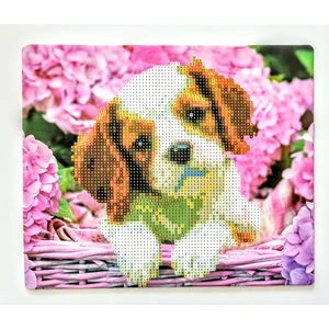 Boncuklu Taşlı Mozaik Elmas Goblen Pano Tablo Resim Puzzle Dıamond Paıntıng Ebat 21X25 Çocuklar Için