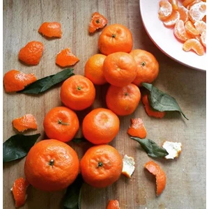 4 Yaş Aşılı Nova Mandalina Fidanı