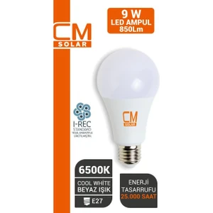 9W E27 Duy 6500K Beyaz Işık LED Ev Ampulü