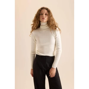 Slim Fit Dar Kesim Balıkçı Yaka Triko Kazak X7912AZNS