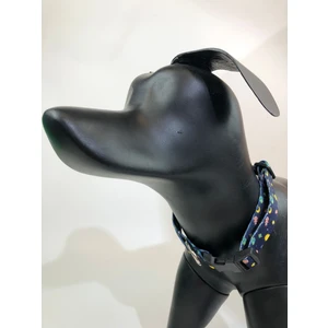 Ayarlanabilir Köpek Boyun Tasması Space