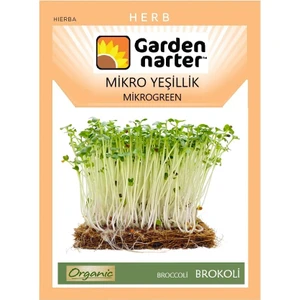 Garden Narter Mikro Yeşillik Için Microgreen Organik Brokoli Tohumu Mikro Filiz Tohumu 500 Tohum