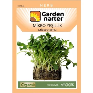 Garden Narter Mikro Yeşillik Için Microgreen Organik Mini Ayçiçek Tohumu Mikro Filiz Tohumu 50 gr 400 Tohum
