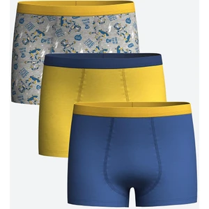 Lcw Kids Erkek Çocuk Boxer 3'lü