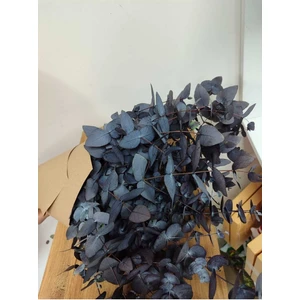 Tekno Trust Üreticiden Şoklanmış Büyük Yaprak Okaliptus