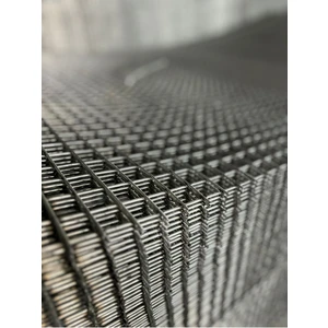 Ersa Tel Galvanizli Hasır Tel 2x2 2.50 mm 100X200