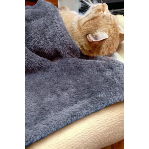 Mislina Home Paw Wellsoft Kedi Köpek Battaniyesi 100X100 cm Antrasit