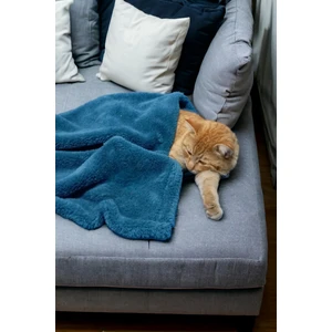 Mislina Home Paw Wellsoft Kedi Köpek Battaniyesi 100X100 cm Petrol Mavisi
