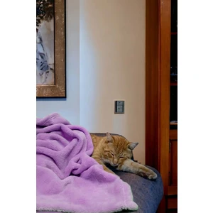 Mislina Home Paw Wellsoft Kedi Köpek Battaniyesi 100X100 cm Lila