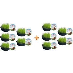 Sonrisa Pets Organik Kedi Çimi 10'lu Fileli + Sürpriz Oyuncak Hediye