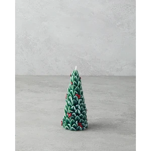 English Home Pine Tree Mum 15 Cm Yeşil