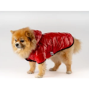Kedi Köpek Montu Parlak Kırmızı