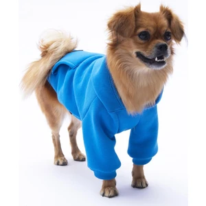 Mavi Kanguru Cepli Kedi-Köpek Hoodie- Sweatshirt  Kedi Köpek Kıyafeti