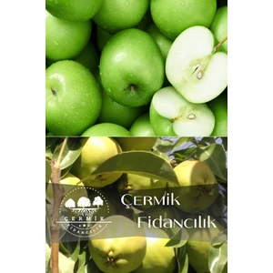 Çermik Fidancılık 2 Çeşit Karışık Meyve Fidanı Yeşil Elma ve Deveci Armut
