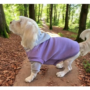 Ziggy Dog  Köpek Kıyafeti Sweat Polarlı Sweatshirt