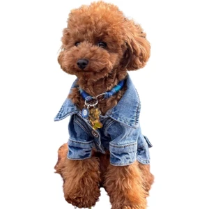 ZIGGYDOG Köpek Kıyafeti Kot Mont Ceket
