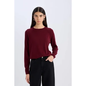 Regular Fit Yumuşak Dokulu Bisiklet Yaka Basic Düz Triko Kazak I6913AZ24WN