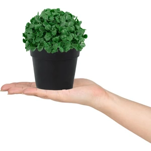 Mini Siyah Plastik Saksıda Yapay Yonca Çiçeği