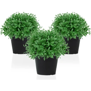 3'lü Set Mini Siyah Plastik Saksıda Yapay Fesleğen Çiçeği