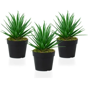 3 Adet Siyah Mini Plastik Saksıda Yapay Aloe Vera Çiçeği