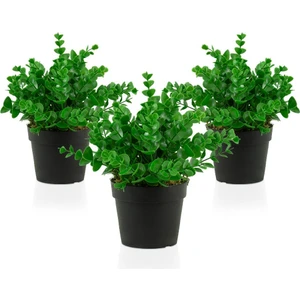 3 Adet Siyah Mini Plastik Saksıda Yapay Demet Şimşir