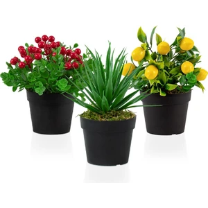 3’lü Set Siyah Mini Plastik Saksıda Yapay Kokina, Aloe Vera ve Limon Çiçeği