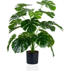 Siyah Saksıda Yapay Monstera Ağacı 60 cm