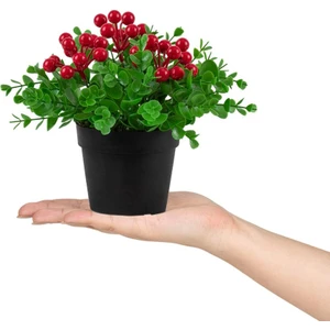 Siyah Mini Plastik Saksıda Yapay Kokina Çiçeği